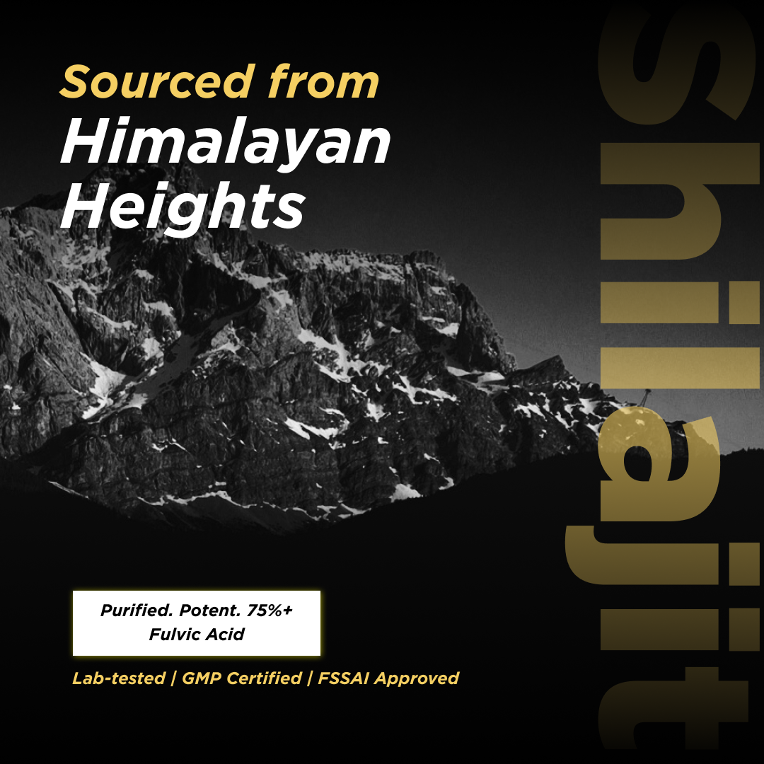 Pure Himalyan Shilajit Gold Resin, 20 g
